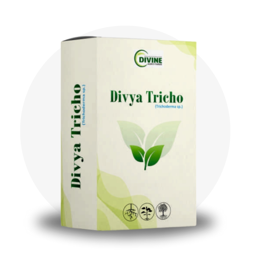 Divya Tricho